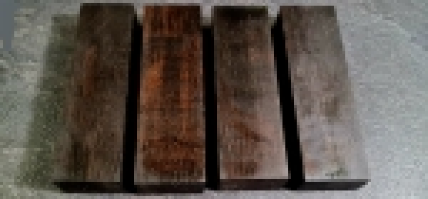 Stabilisierte Mooreiche